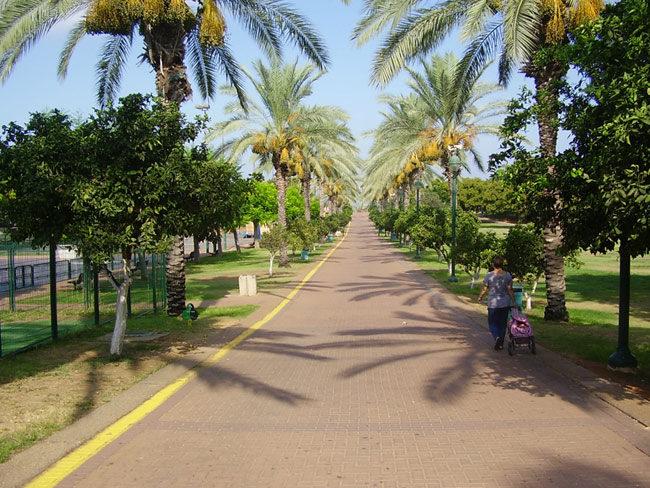 רעננה